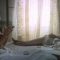 To Forget Venice nude scenes preview To Forget Venice nude scenes