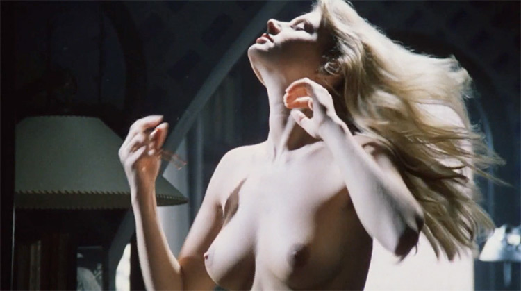 The Voyeur nude scenes preview The Voyeur nude scenes