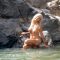 When Dinosaurs Ruled the Earth nude scenes preview When Dinosaurs Ruled the Earth nude scenes